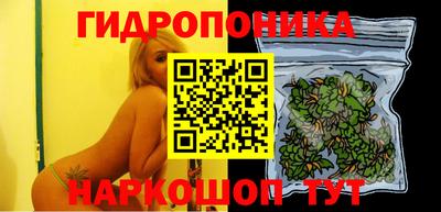гидропоника Бугуруслан
